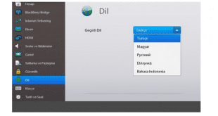 blackberry-playbook-dil-degistirme
