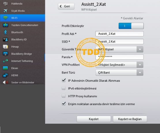 PlayBook DNS Ayarları, PlayBook IP Ayarları, BlackBerry, PlayBook, IP ve DNS Ayarları,