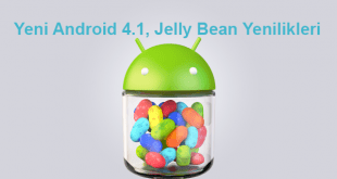 jelly-bean