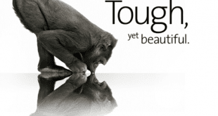 Corning En Üstün Camı Gorilla Glass 3