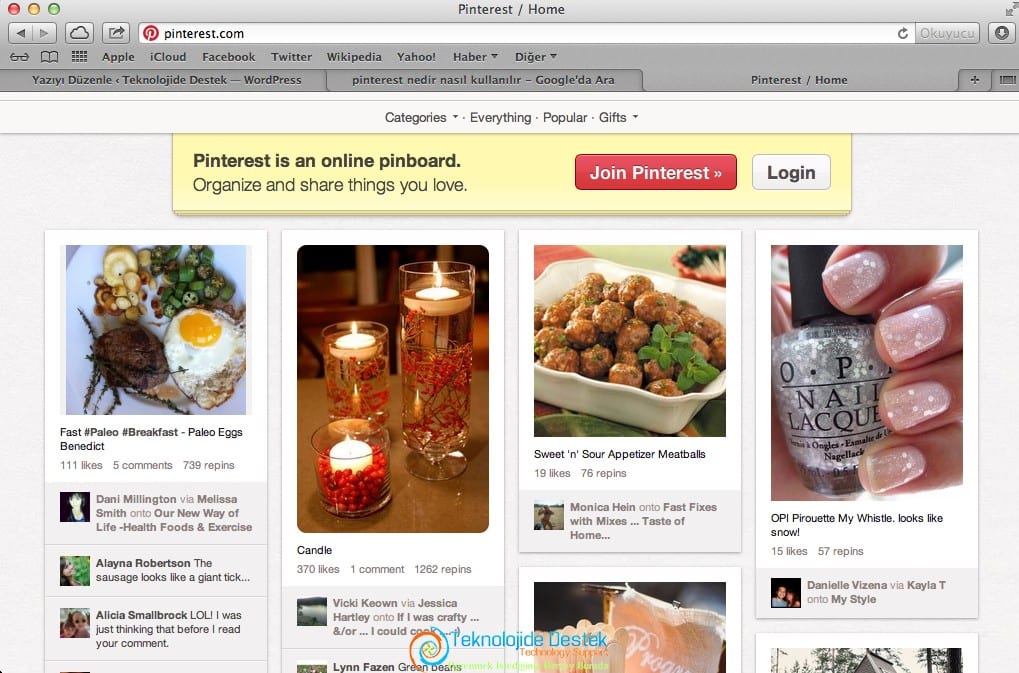 Pinterest Nedir Nasıl Kullanılır