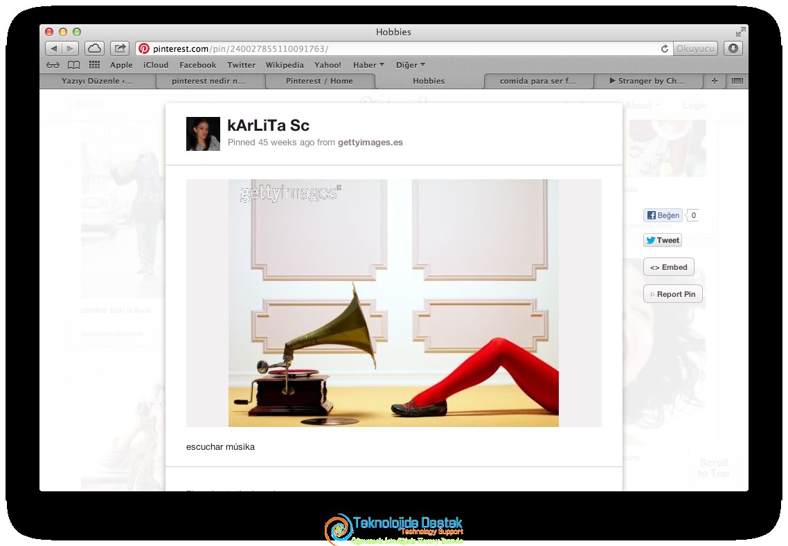 Pinterest Nedir Nasıl Kullanılır, Pinterest,