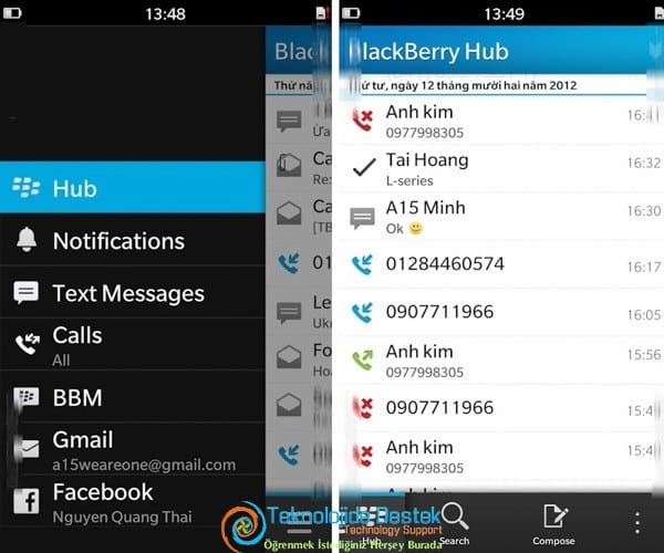 blackberry3