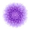 iphone-6-orjinal-wallpapers-duvar-kagitlari-03