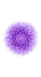 iphone-6-orjinal-wallpapers-duvar-kagitlari-03