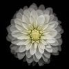 iphone-6-orjinal-wallpapers-duvar-kagitlari-04