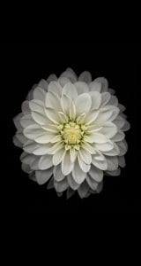 iphone-6-orjinal-wallpapers-duvar-kagitlari-04