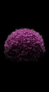 iphone-6-orjinal-wallpapers-duvar-kagitlari-05