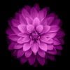 iphone-6-orjinal-wallpapers-duvar-kagitlari-07