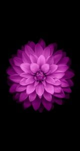 iphone-6-orjinal-wallpapers-duvar-kagitlari-07