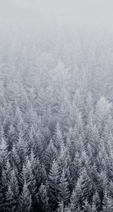 iphone-6-orjinal-wallpapers-duvar-kagitlari-08