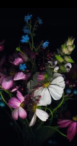 iphone-6-orjinal-wallpapers-duvar-kagitlari-15