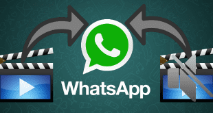 WhatsApp, WhatsApp Video Ses Sorunu, WhatsApp Videoları Sessiz, WhatsApp Videolarından Ses gelmiyor,