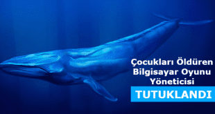 mavi balina bilgisayar oyunu, öldüren bilgisayar oyunu, çocukları öldüren bilgisayar oyunu, can alan bilgisayar oyunu,