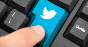 twitter da silinen veriyi kurtarmak, twitter hesap bilgileri nasıl talep edilir, twitter da silinen paylaşımları geri almak, twitter silinen içeriği kurtarmak,