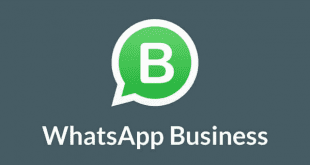 whatsapp business nedir, whatsapp business, whatsapp business kayıt, whatsapp business özellikleri, whatsapp business kurulumu, whatsapp business masaüstü,