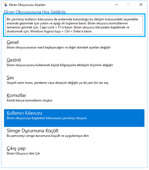 windows 10 ekran okuyucusu kapatma, windows 10 ekran okuyucusu sorunu,