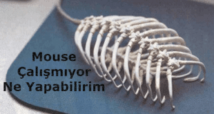 Mouse Çalışmıyor Ne Yapabilirim