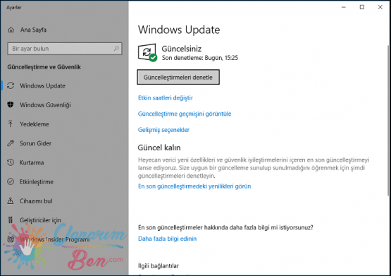 Windows 10 Özellik ve Kalite Güncellemeleri