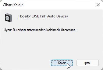 Windows 11 ses sorunu genellikle güncel olmayan veya uyumsuz windows 11 ses sürücüsü driver yanı sıra devre dışı bırakılmış ses hizmetleri neden olur.