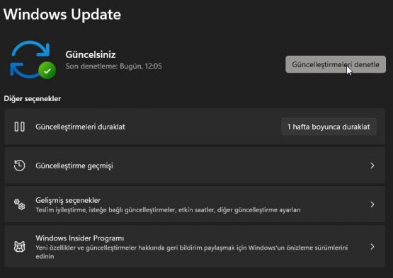Windows 11 Valorant Açılmıyor