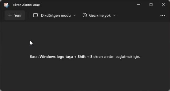 Windows 11 ekran görüntüsü almak